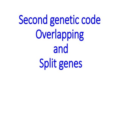 Second genetic code overlapping and split genes