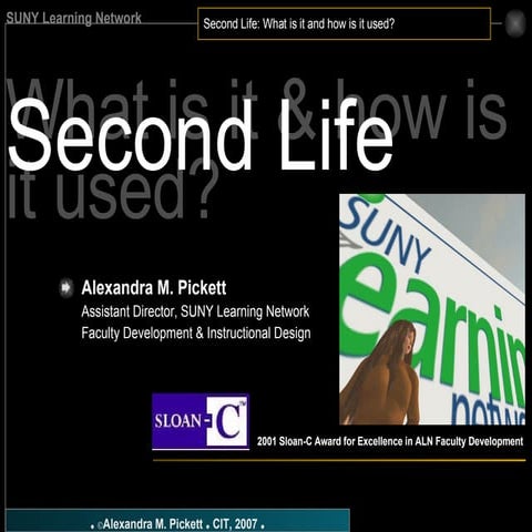 SecondLife: what is it? and how is it used?