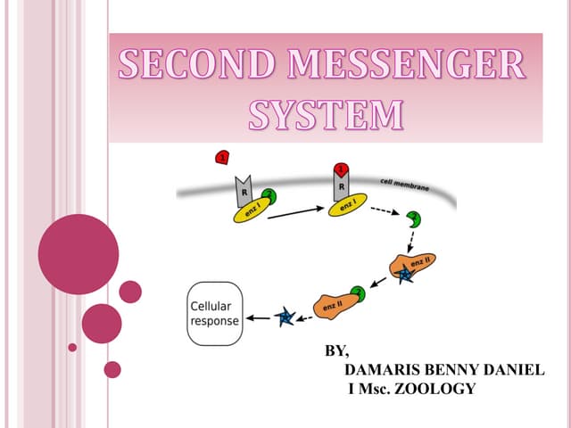 Second messenger system