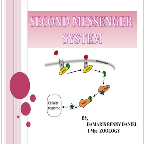 Second messenger system