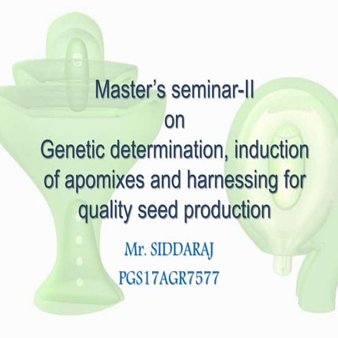 Genetic basis of apomixis