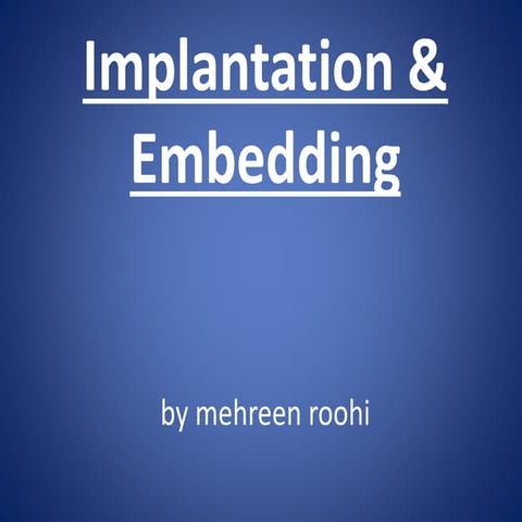 Second week of development