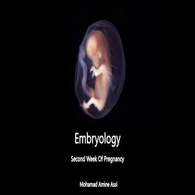 Second week of pregnancy   emberyology