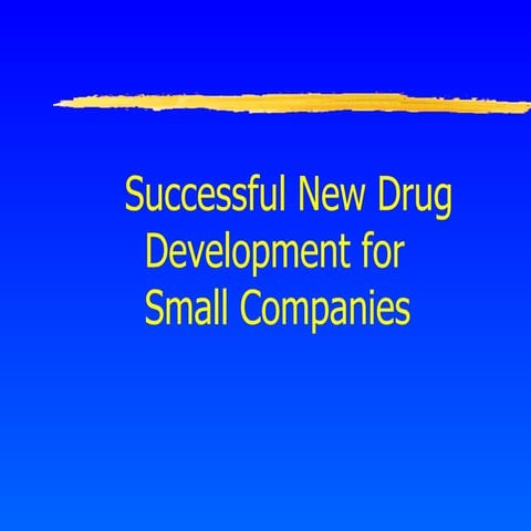 Successful New Drug Development Strategies for Small Companies