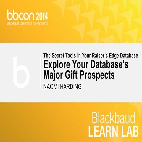 The Secret Tools in Your Raiser’s Edge Database