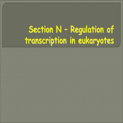 Section 20 n-20--20regulation-2