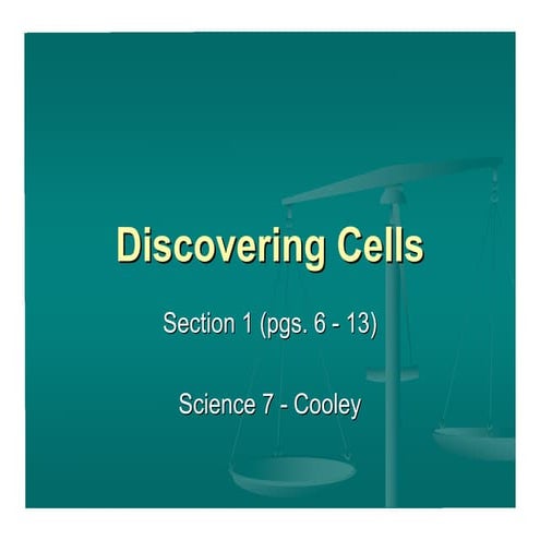Section 1 cells