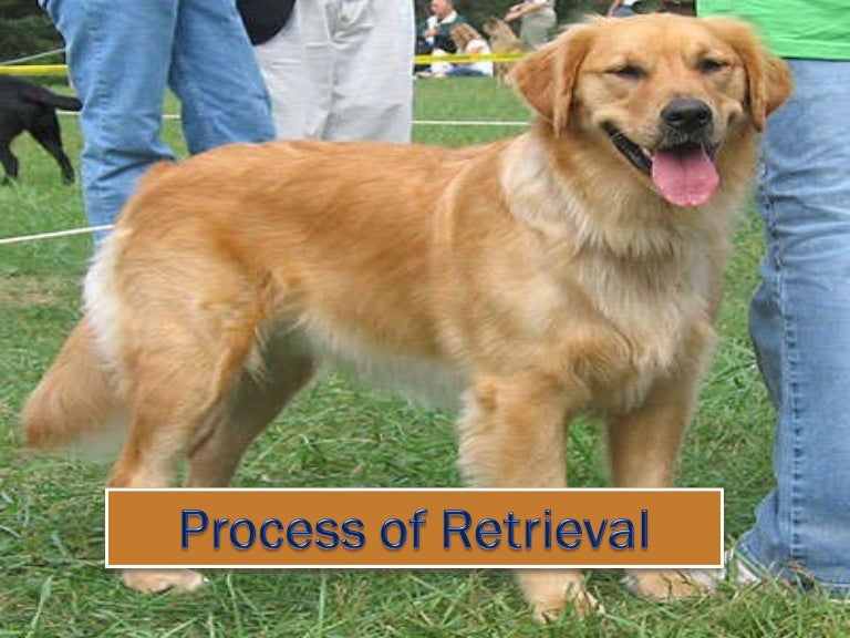 Section 3 Retrieval Autosaved
