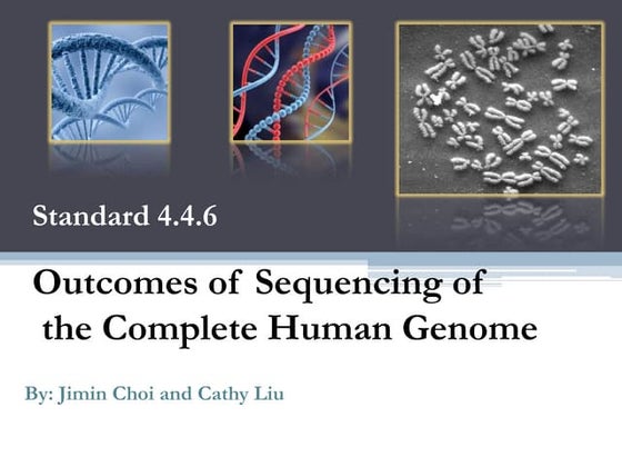 The human genome project vlad | PPTX | Genetics | Science