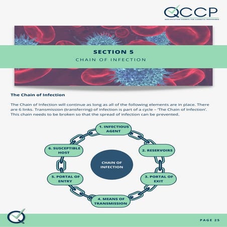 Section 5 The Chain of Infection.pdf