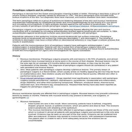 Section b dermatology