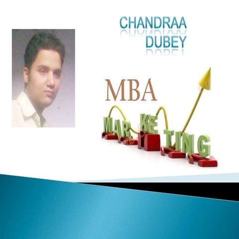 CURRICULUM VITAE (2) | DOCX