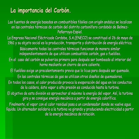 Sector Andaluz.Blanca Anaya Abolafi A.1