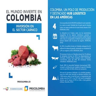 Sector Cárnico 2016