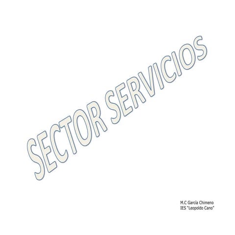 Sector Servicios CaracteríSticas