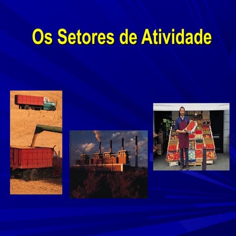 Sectoresactividadeeconmica 100928165824-phpapp01