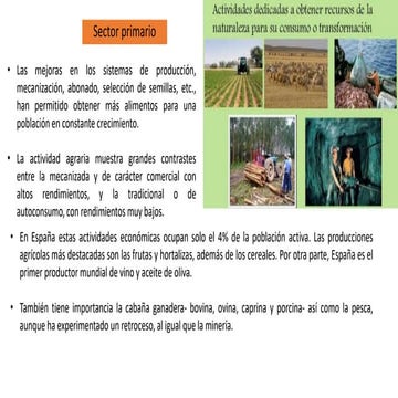 Sectores económicos .pptx