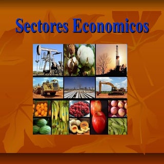 Sectores economicos