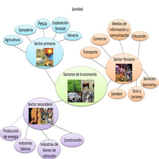 Sectores economicos 