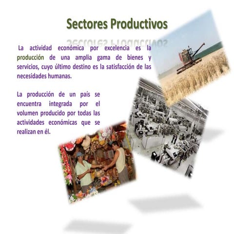 Sectores Productivos