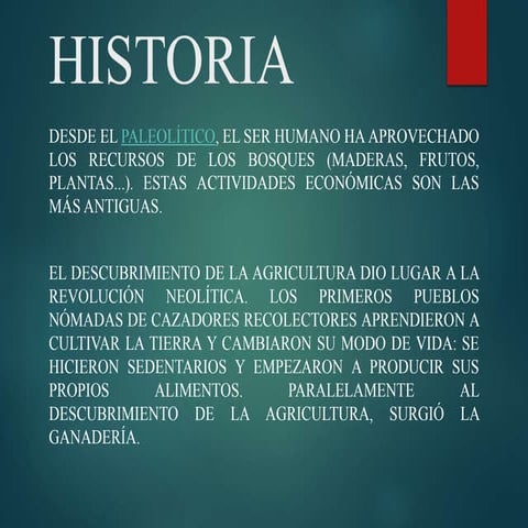 4º Civilización U10º VA: Sectores productivos