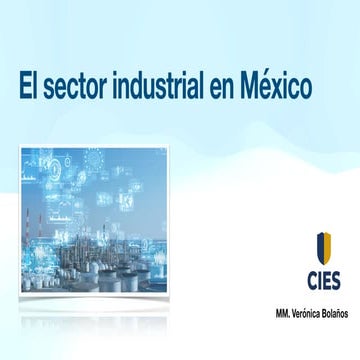 SECTOR INDUSTRIAL.pdf