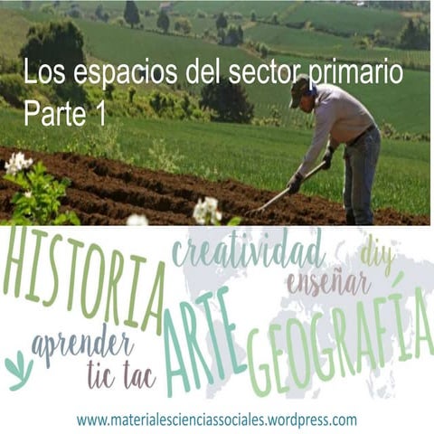 Sector primario españa