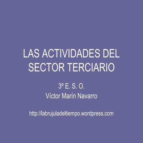 El sector servicios