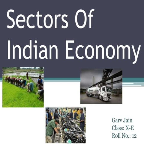 Sectors of Indian Economy