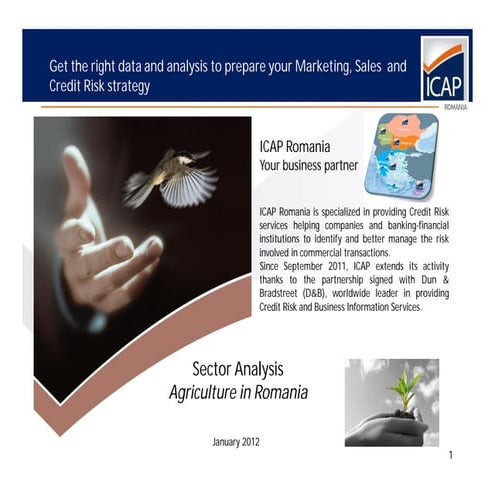 Sector Study Agriculture 2012