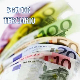 Sector terciario