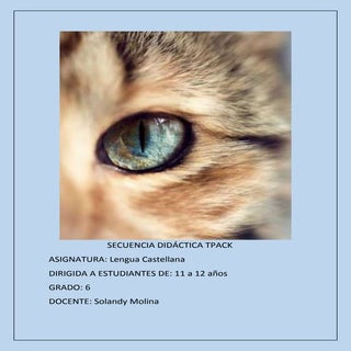 Secuencia didactica tpack