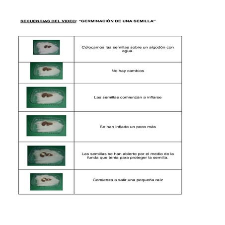 Secuencias del video