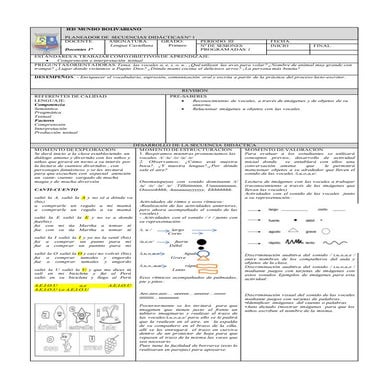 Secuencias didacticas 1°