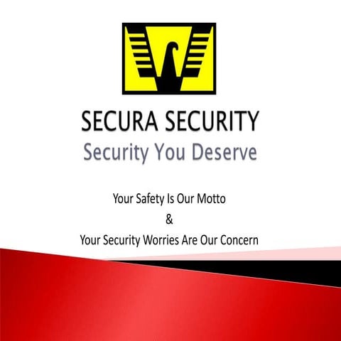 Secura Security India Overview