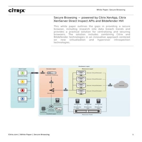 Secure Remote Browser