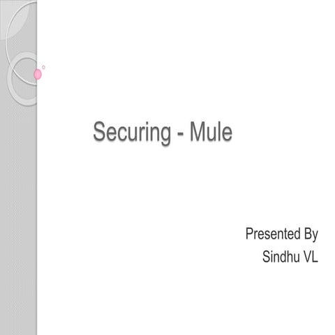 Securing   mule