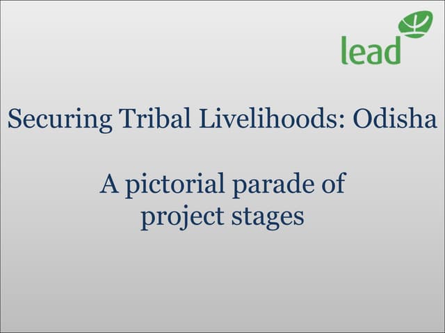 Securing tribal livelihoods odisha LEAD India