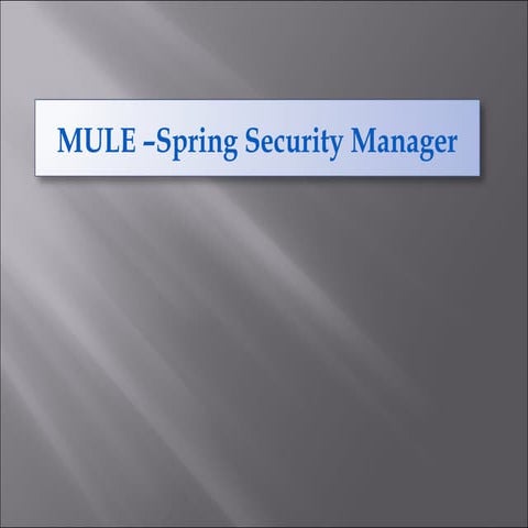Security   spring security manager