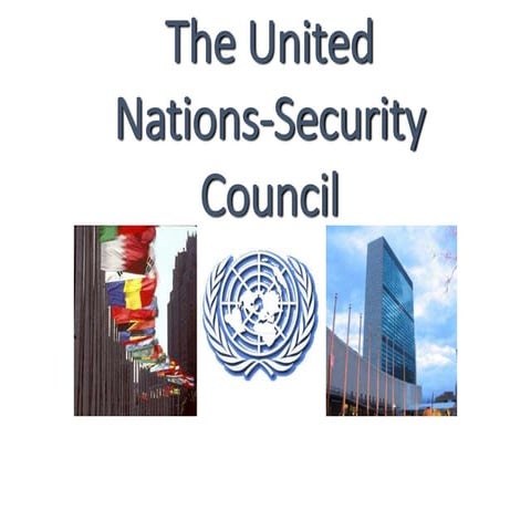 Security council