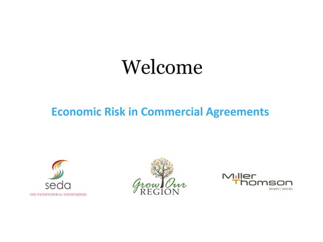 Economic Risk in Commercial Agreements 