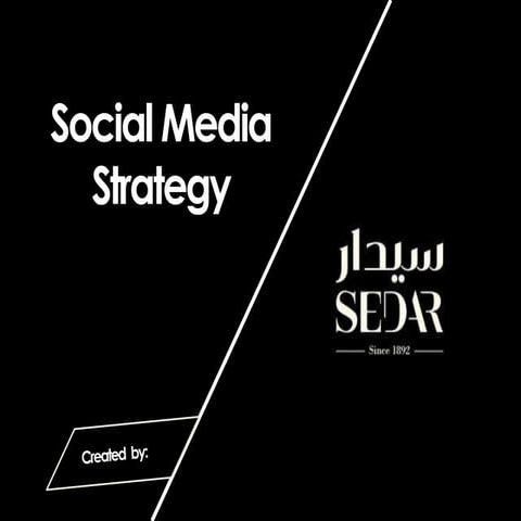 Social Media Strategy Sample 