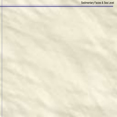 Sedimentary Facies.ppt