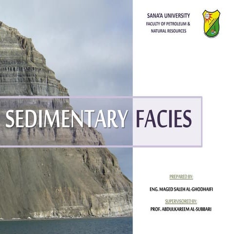 sedimentary facies.pdf
