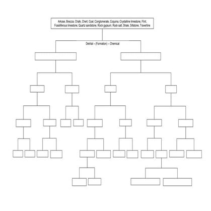 Sedimentary rock dichotomous key