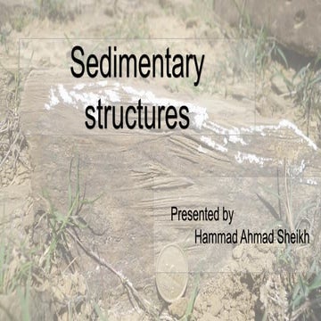 Sedimentary structures Present in Permian and Eocene Rocks of Pakistan