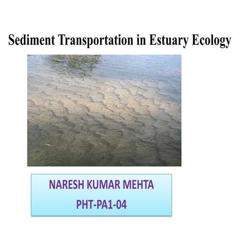 Sediments transportation