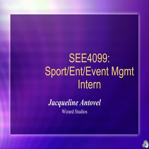 See4099 intern ppt presentation