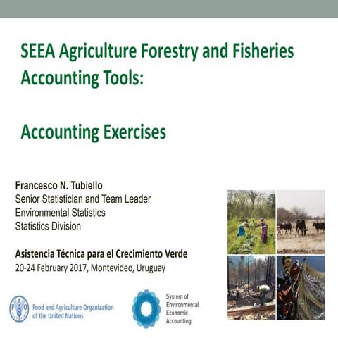 SEEA Agriculture Forestry and Fisheries Accounting Tools: Accounting Exercises
