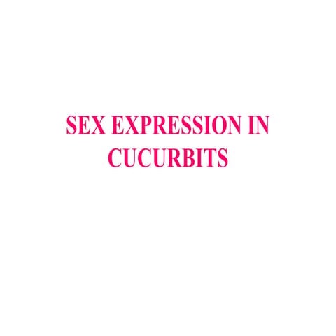 Sex expression in cucurbits
